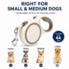 Retractable dog leash size options