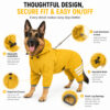 Dog rain jacket design and fit details