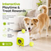 Interactive ball play and treat reward machine