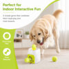 Four-step ball and treat reward routine