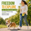 USB rechargeable front-light leash style