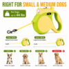 Compact 5 m dog leash handle