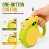 Retractable dog leash walking details